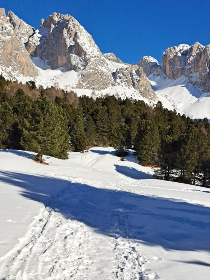 Residence Casa Metz Santa Cristina Val Gardena Kültér fotó